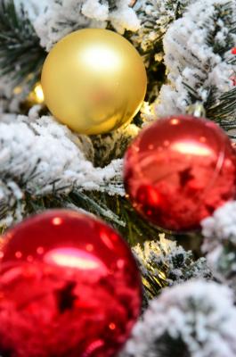 Прикрепленное изображение: DSC_1058_.JPG